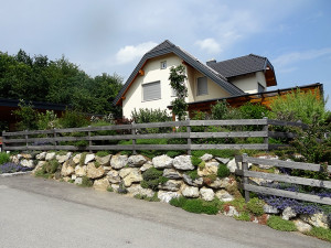 DSC07317
