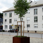 DSC07406