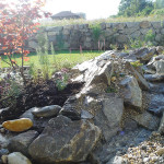 DSCF7163_b