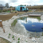 DSCF7610_b