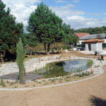 DSCF7611_b