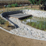 DSCF7613_b
