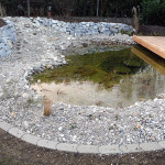 DSCF8157_b