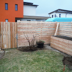 DSCF8897