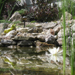 IMG_0325_b